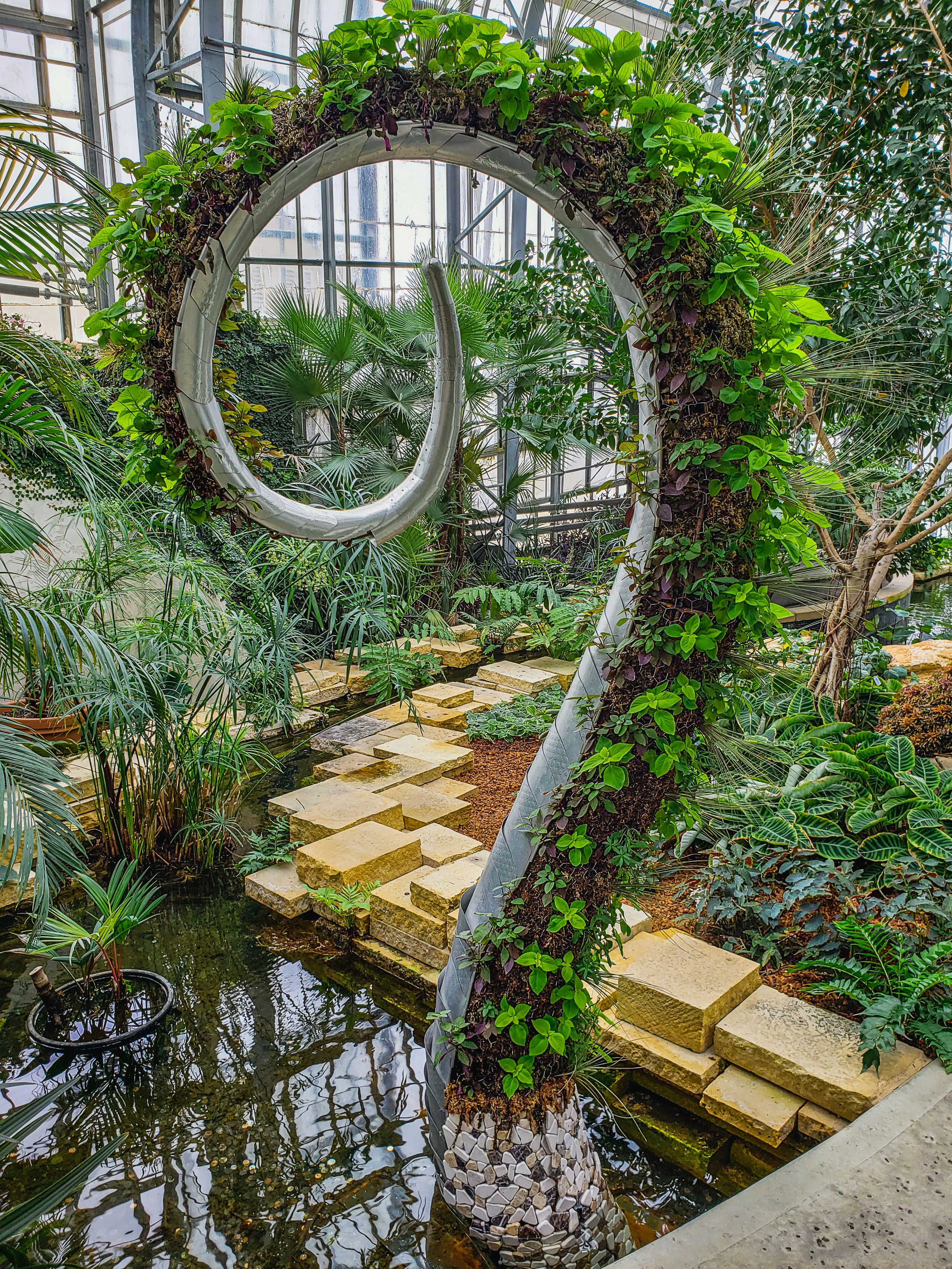 green plants on green metal frame